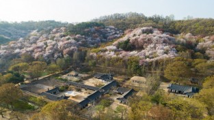 조선 시대 이색 ‘꽃놀이’ 축제 개막
